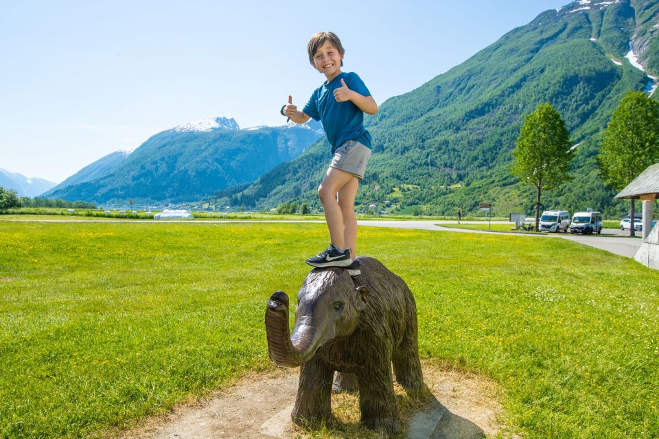 From Balestrand: Guided Fjord & Glacier Tour to Fjærland - Pricing and Booking