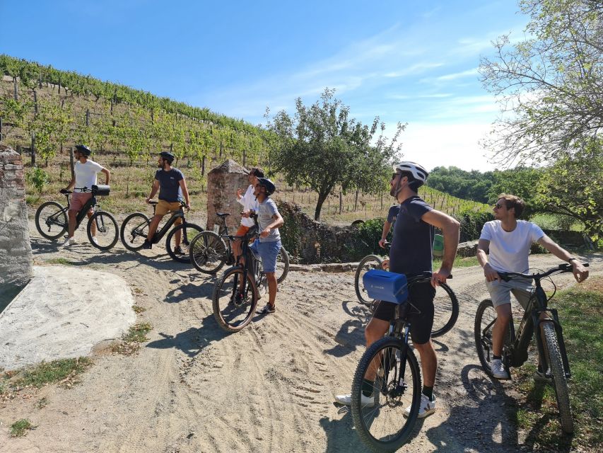 From Beaugency: 5-Day Bike Tour of the Loire Vally Wineries - Booking and Cancellation Policy