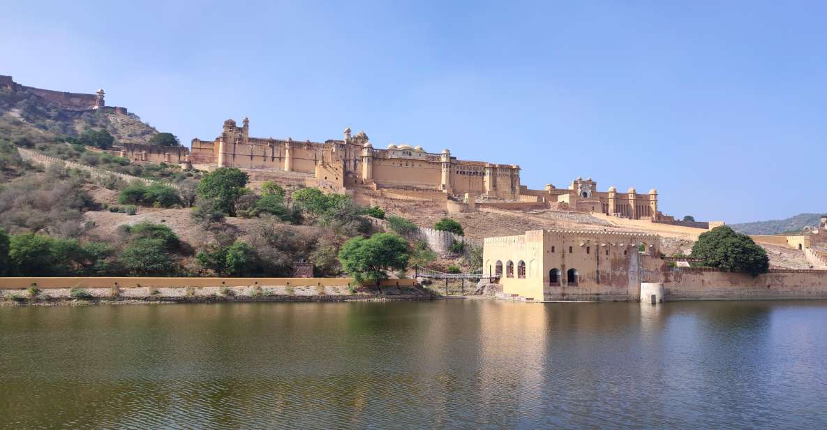 From Delhi: Private Jaipur & Amber Fort Guided Tour by Car - Customer Reviews and Ratings