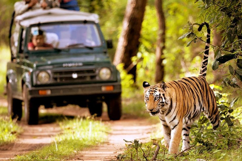 From Kathmandu: 3-Day Chitwan National Park Tour - Wildlife Encounters