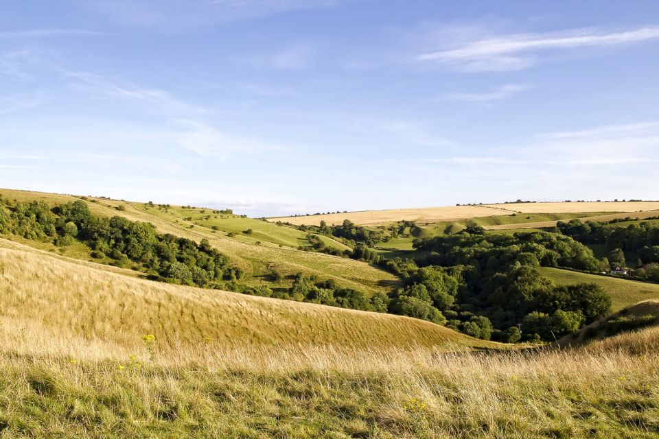 From London: Stonehenge and Bath Day Trip With Ticket - Booking Information