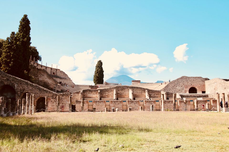 From Naples: Pompeii and Vesuvius Guided Day Trip With Lunch - Important Information for Travelers