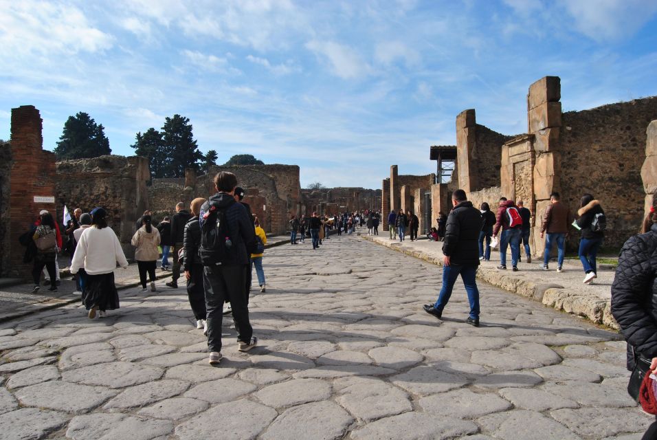 From Pompeii: Amazing Tour to Pompeii Ruins - Customer Reviews