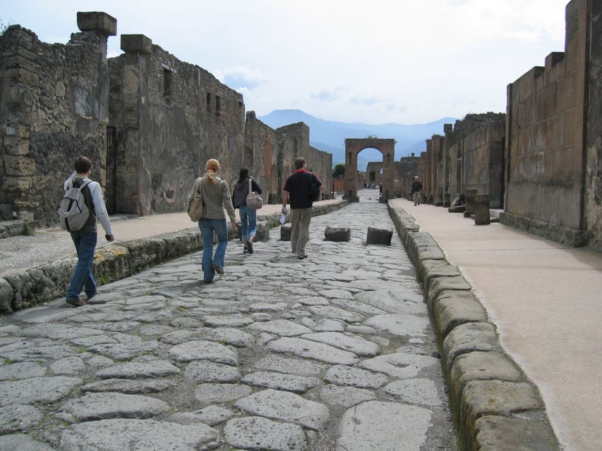 From Pompeii: Guided Walking Tour With Skip-The-Line Entry - What to Expect