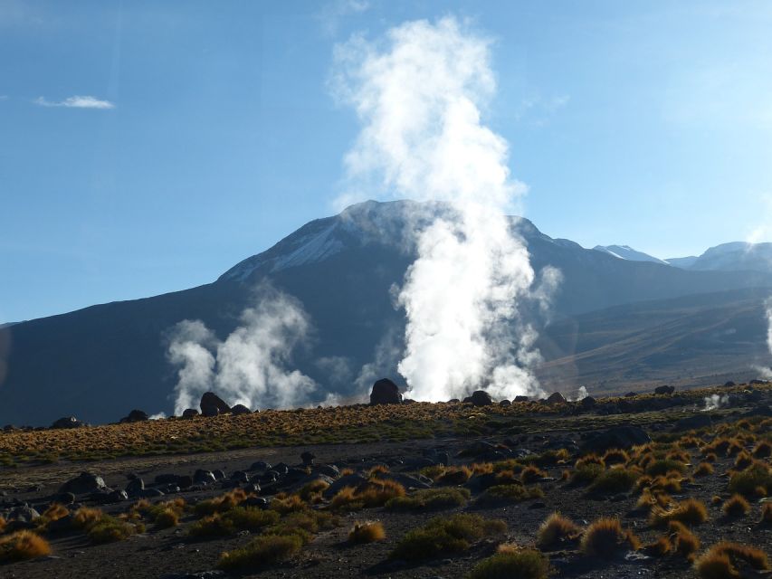 From San Pedro De Atacama: Geysers Del Tatio Half-Day Tour - Geothermal Features