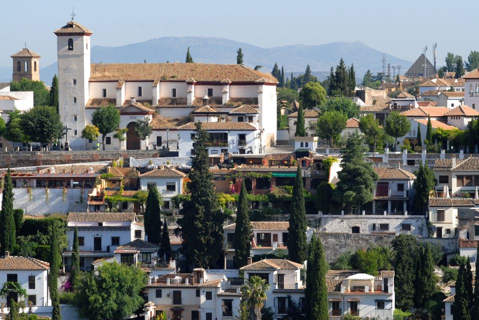 From Seville: Private Granada Day-Trip With Alhambra Visit - Tour Group and Guide Details