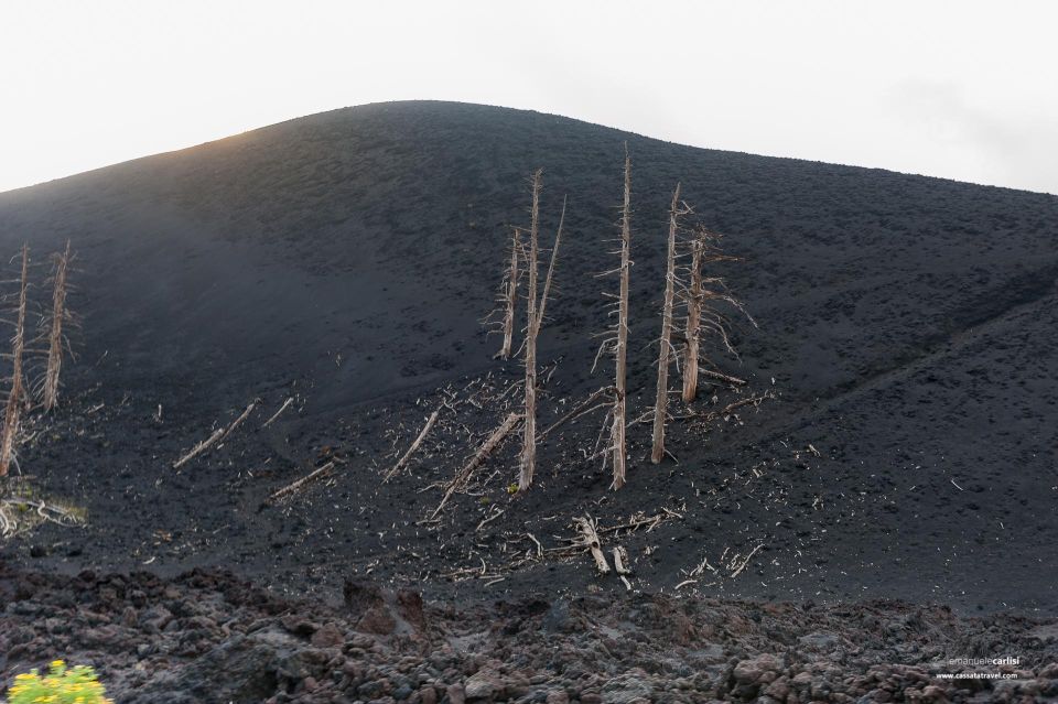 From Taormina: Mount Etna Tour to 1900 Mt - Booking Information