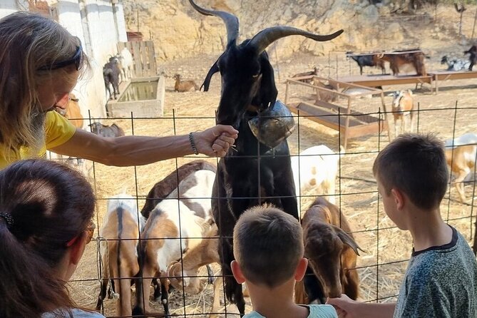 Full Day 4x4 Self-Drive Safari Tour in Crete With BBQ Lunch - Packing Essentials