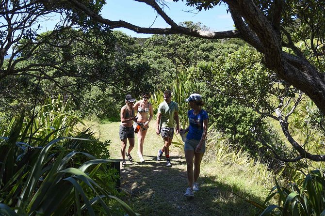 Full-Day Adventure Cruise With Lunch in Bay of Islands - Reviews and Customer Feedback