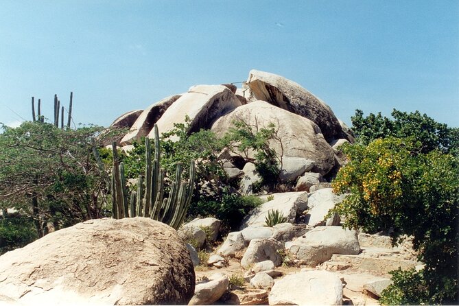 Full-Day Aruba Self-Guided Jeep Rental With Transport - Booking and Cancellation Policy