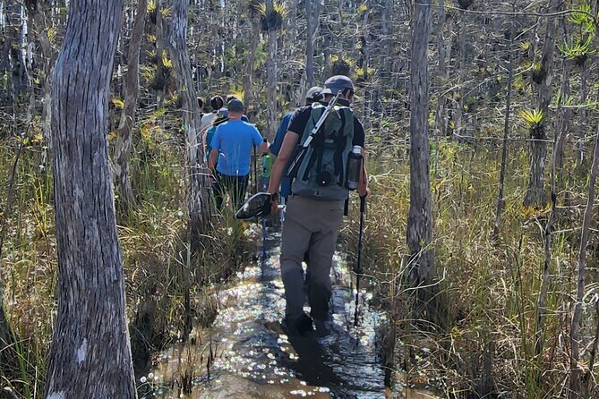 Full Day Everglades: Biologist Led WET Walk + 2 Boat Trips + Lunch Small Group - Pricing, Discounts, and Booking