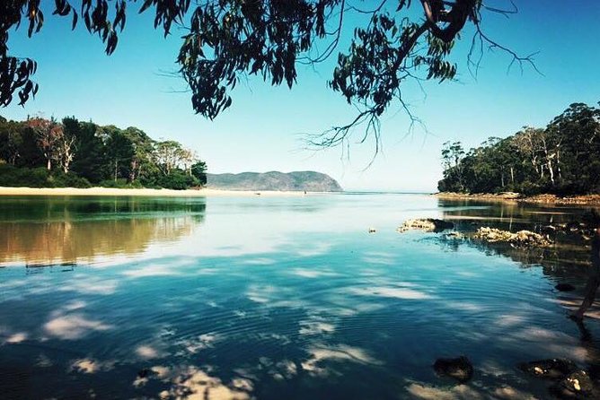 Full-Day Guided Bruny Island Tour From Hobart - Important Information for Travelers