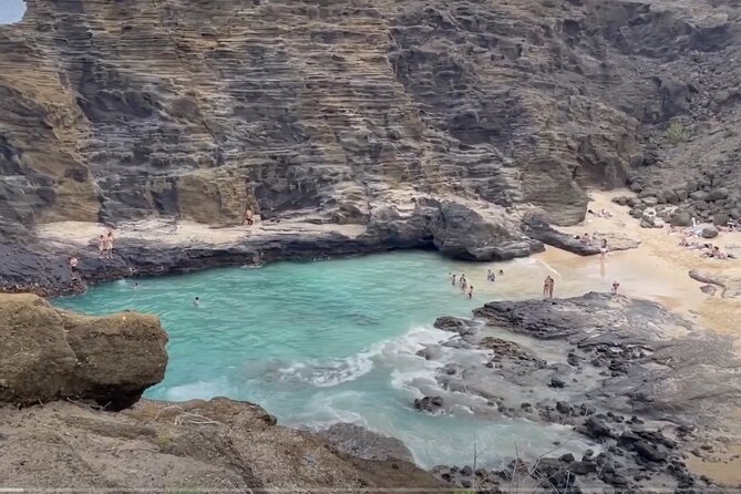 Full Day Oahu Guided Circle Island Tour Inc Snorkel and Turtles - Ideal Audience for the Tour