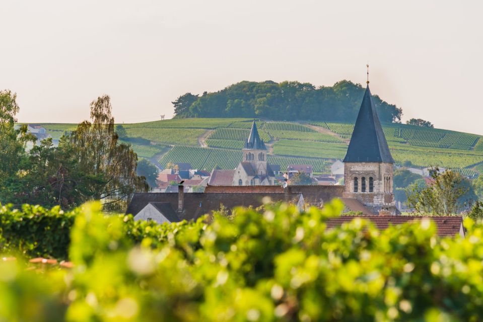 Full Day Pommery Small Group Tour - Whats Included