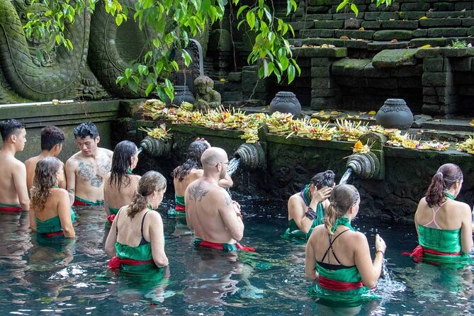 Full Day Private Tour in Ubud Indonesia - Inclusions and Exclusions