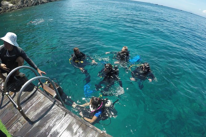 Fun Dives - Guided Dives for Certified Divers - Equipment and Rental Options