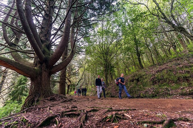 Green Cauldron Levadas Walk in Madeira - Cancellation Policy