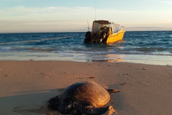 Half Day Snorkel 2.5hr Turtle Tour on the Ningaloo Reef, Exmouth - Booking Information