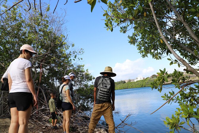 Half-Day Spanish Lagoon Mangrove Trail With Private Guide - Additional Options