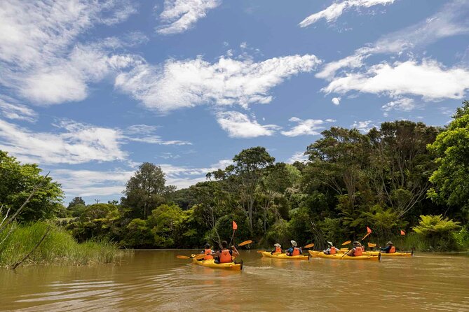 Hallertau Clevedon Kayak Tour - Participant Requirements