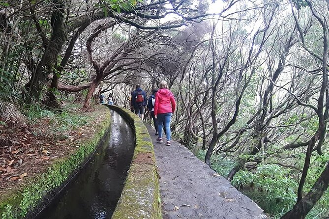 Hike 25 Fontes & Risco Levada Self-Guided - Local Attractions