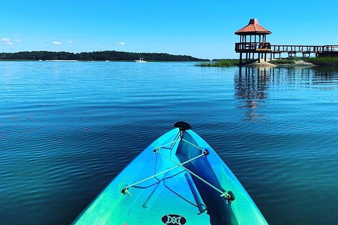 Hilton Head Guided Kayak Tour - Ideal for All Skill Levels