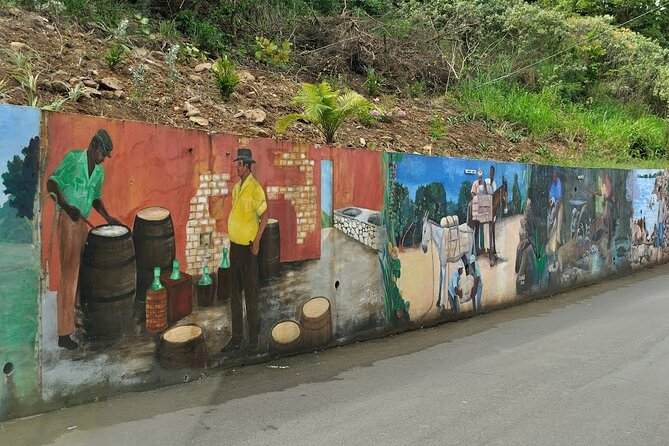 Historical and Beach Tour of Tortola BVI - Accessibility Information