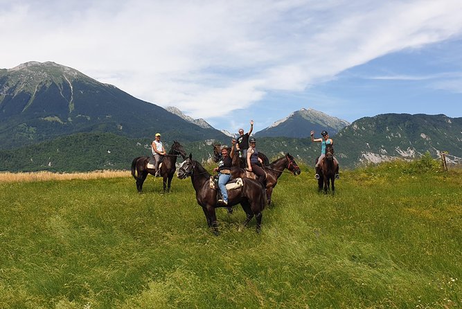 Horseback Riding In Bled - Operator and Experience Quality