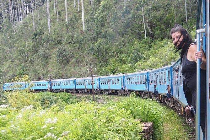 Kandy To Nuwaraeliya Scenic Train Ride and Nuwaraeliya City Tour And Drop Ella - Accessibility and Amenities