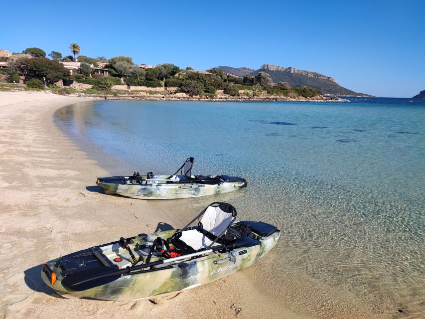 Kayak Tour in Cala Moresca - Aperitif and Dolphin Watching - Meeting Point Information