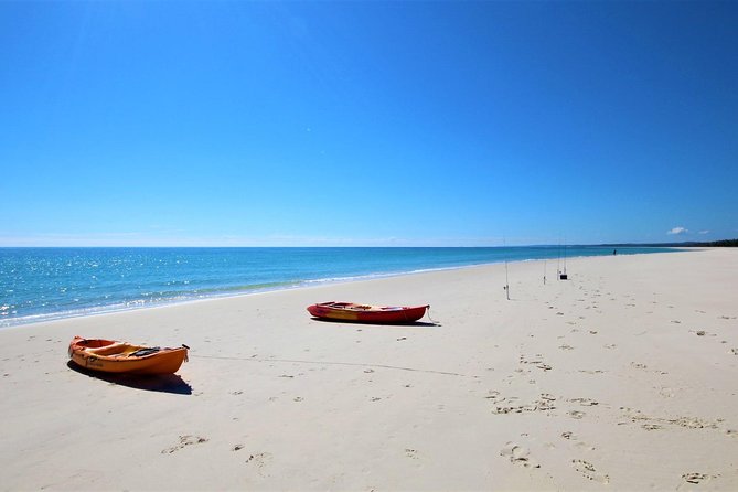 Kgari (Fraser Island) West Coast Half Day Cruise From Hervey Bay - Customer Reviews and Ratings