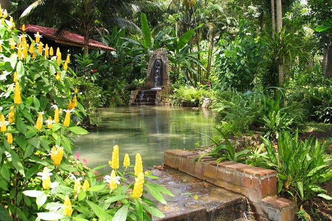 Konoko Falls,Fern Gully and Shopping - Tips for a Great Experience