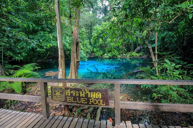 Krabi Outback Explorer to Emerald Pool, Wareerak Hotspring and Beyond - Essential Tips for Travelers