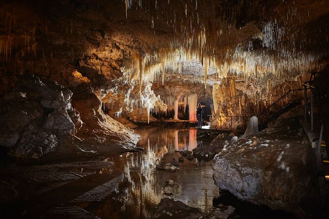 Lake Cave Fully Guided Tour - Environmental Commitment