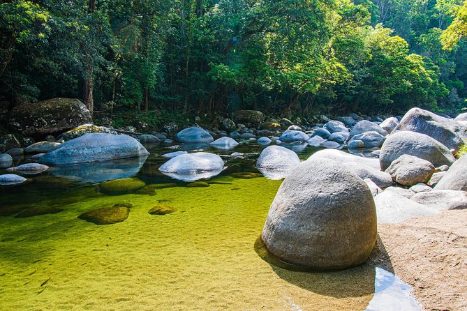 Luxury Daintree - Cape Tribulation Tour From Port Douglas - Customizable Tour Options