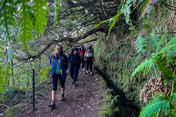 Madeira Levada Walk - Caldeirao Verde - Traveler Feedback and Reviews