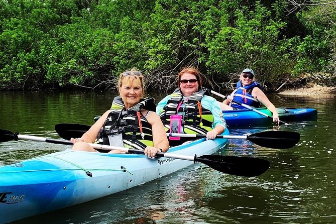 Manatee and Dolphin Kayaking Encounter - Customer Experiences and Reviews