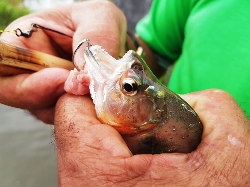 Manaus: Piranha Fishing and Alligator Watch Evening Tour - Customer Reviews and Ratings