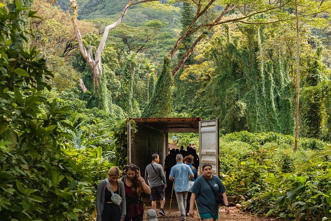 Manoa Waterfall Hike From Waikiki With Healthy Lunch Included - Scenic Lunch Experience