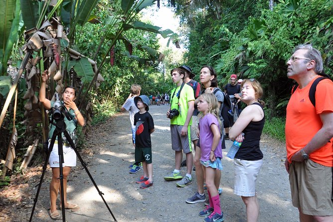 Manuel Antonio National Park Hiking Tour From Jacó - Tips for a Successful Tour