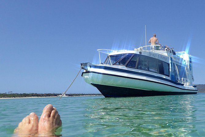 Maria Island Cruise and Guided Walk Day Tour With Lunch and Drinks - Wildlife Viewing Opportunities