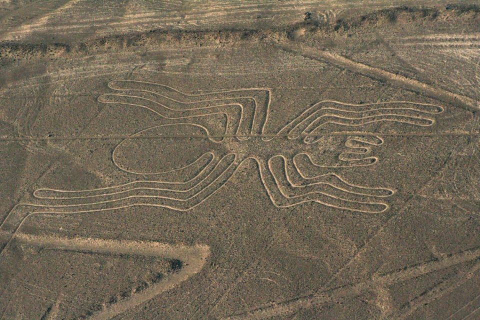 Maria Reiche Museum and Viewpoint of the Nazca Lines - Customer Reviews and Feedback