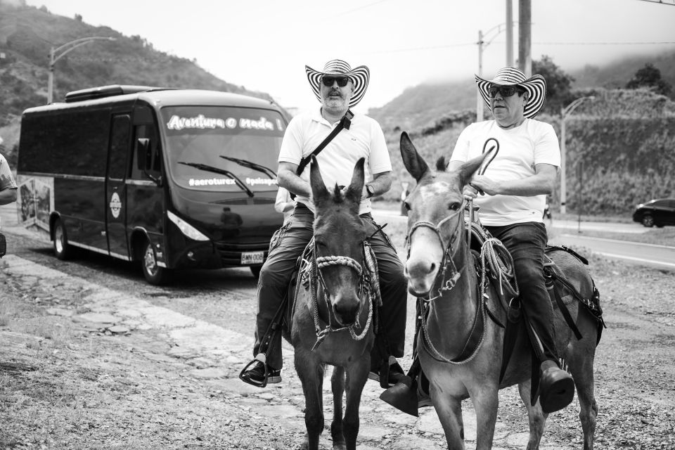 Medellin: Coffee Tour, Horseback Arrival, and Sugar Cane - Customer Feedback