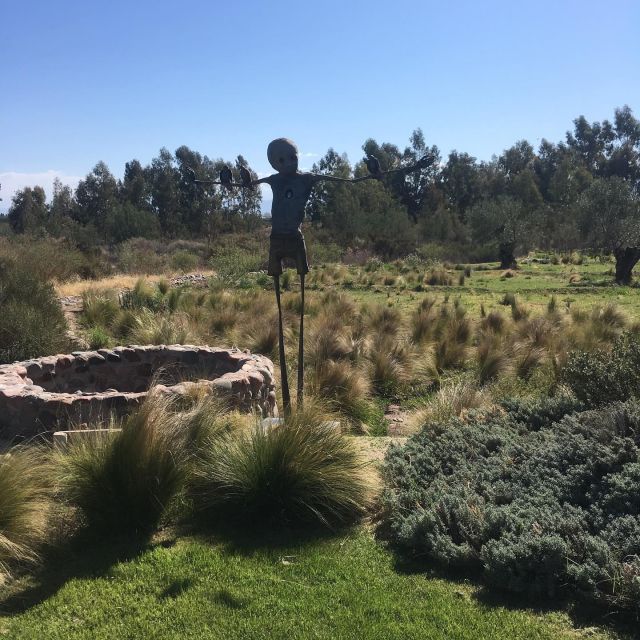 Mendoza: Private Wine Tour, Tastings and Lunch With Pairings - Experience Highlights