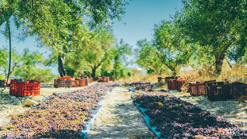 Minoan Luxuries: Ancient Palaces, Messara Wineries & Matala - Matala Beach Experience