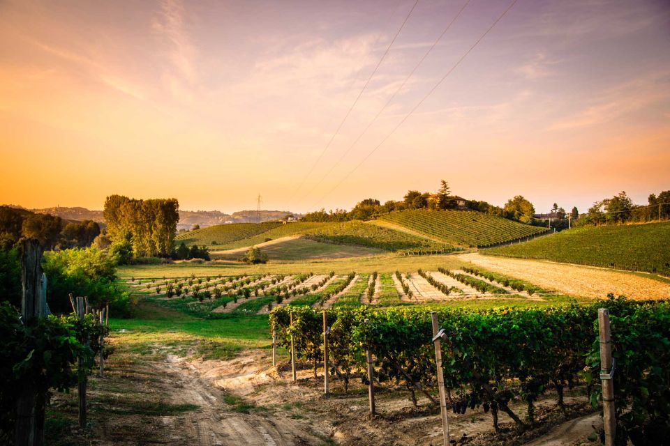 Monferrato: Garetto Wine Estate Tour and Picnic - Nearby Attractions