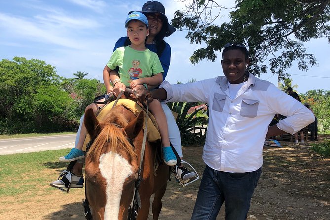 Montego Bay to Horse Back Riding, River Tubing, Blue Hole Falls - Customer Reviews and Ratings