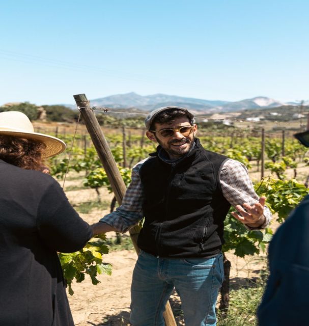 Naxos: Private E-Bike Tour With Wine Tasting Inland Methexis - Safety and Requirements