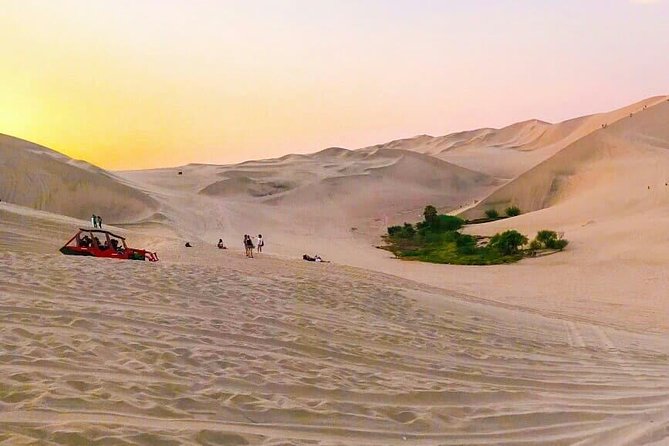 Nazca Lines and Dune Buggy (Huacachina) From Ica - Customer Reviews