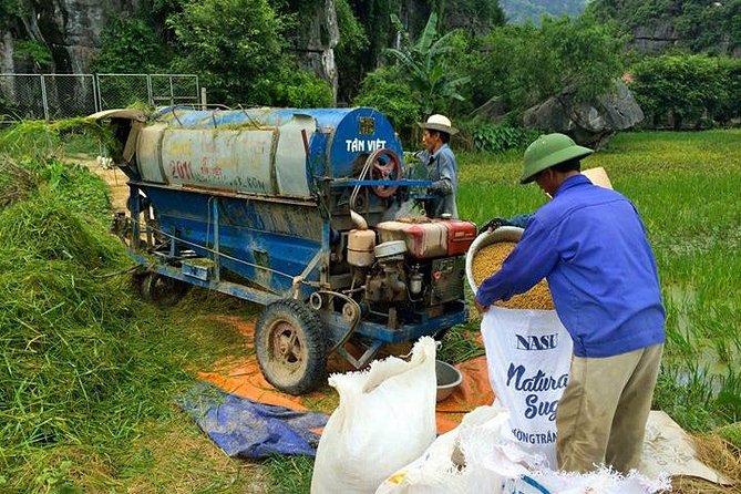 Ninh Binh - Bai Dinh - Trang an Full Day Trip From Hanoi With Luxury Transfers - Important Tips